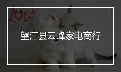 望江县云峰家电商行
