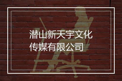 潜山新天宇文化传媒有限公司