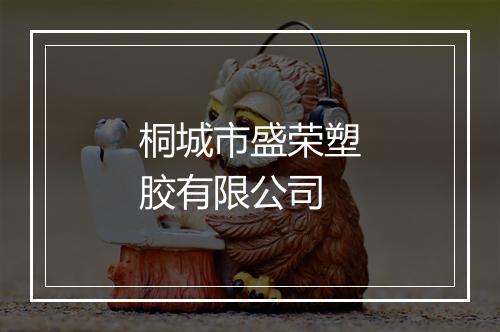 桐城市盛荣塑胶有限公司