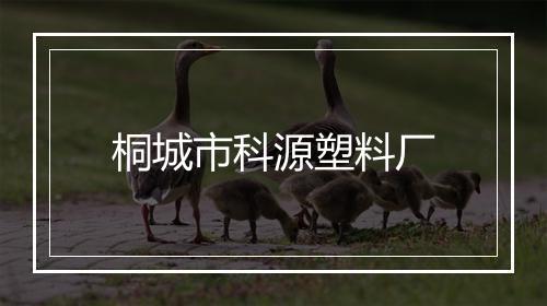 桐城市科源塑料厂