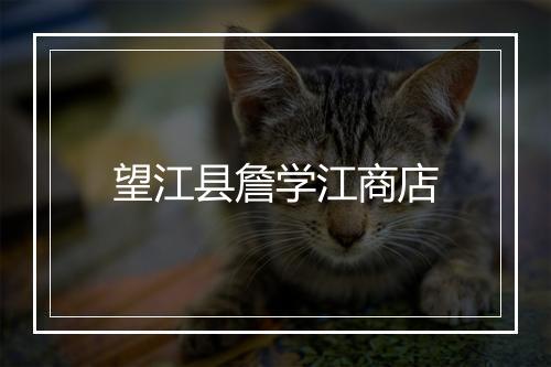 望江县詹学江商店