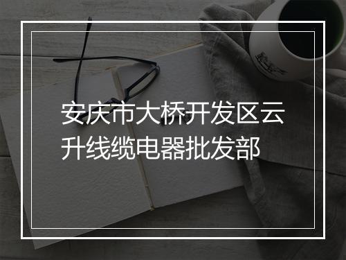 安庆市大桥开发区云升线缆电器批发部
