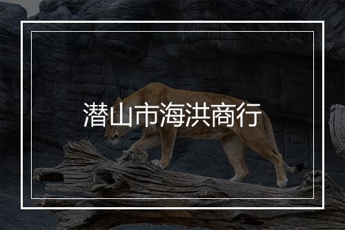 潜山市海洪商行