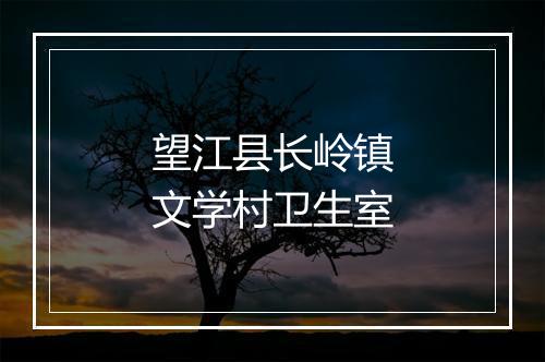 望江县长岭镇文学村卫生室