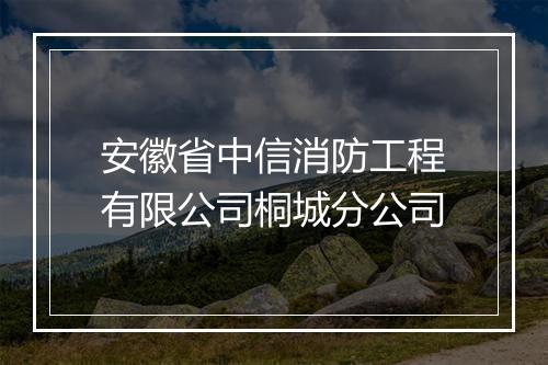 安徽省中信消防工程有限公司桐城分公司