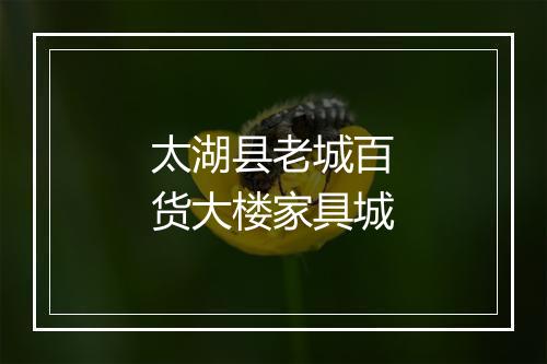 太湖县老城百货大楼家具城