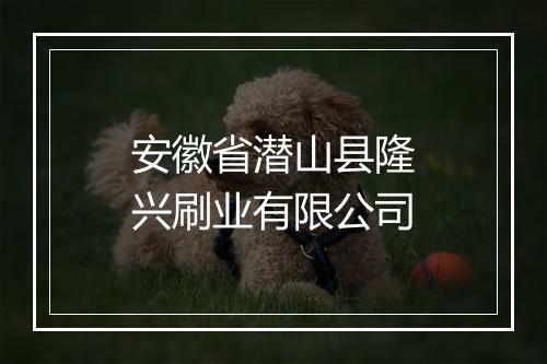 安徽省潜山县隆兴刷业有限公司