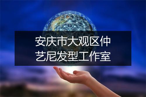 安庆市大观区仲艺尼发型工作室