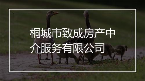 桐城市致成房产中介服务有限公司