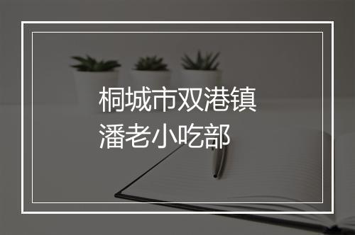 桐城市双港镇潘老小吃部