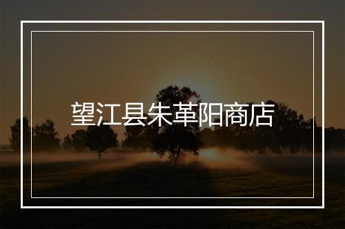 望江县朱革阳商店
