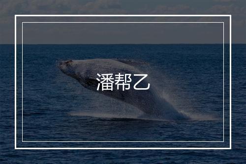 潘帮乙