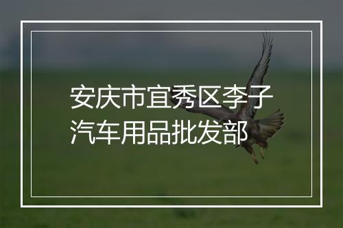 安庆市宜秀区李子汽车用品批发部