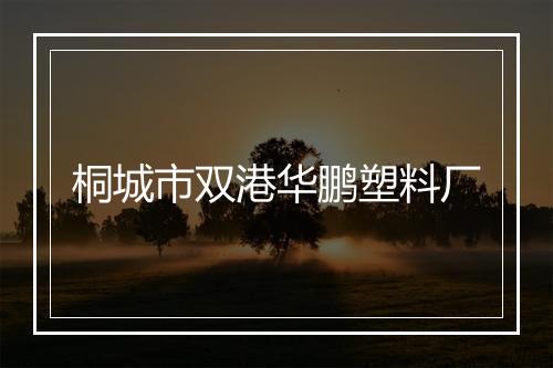 桐城市双港华鹏塑料厂