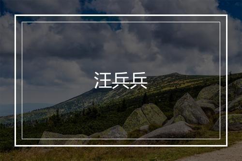 汪兵兵