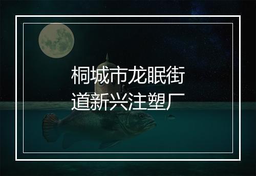 桐城市龙眠街道新兴注塑厂