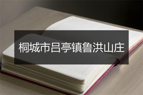 桐城市吕亭镇鲁洪山庄