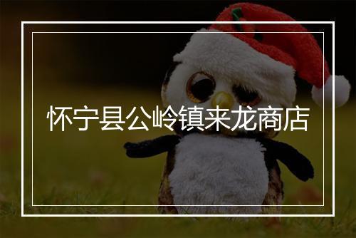 怀宁县公岭镇来龙商店