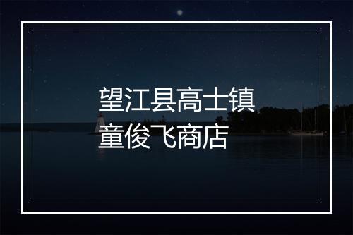 望江县高士镇童俊飞商店
