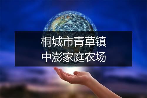 桐城市青草镇中澎家庭农场