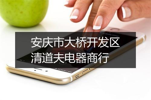 安庆市大桥开发区清道夫电器商行
