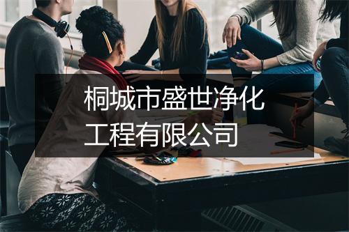 桐城市盛世净化工程有限公司