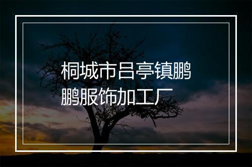 桐城市吕亭镇鹏鹏服饰加工厂