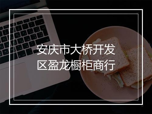 安庆市大桥开发区盈龙橱柜商行