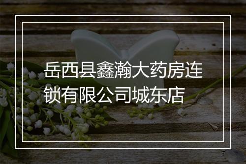 岳西县鑫瀚大药房连锁有限公司城东店