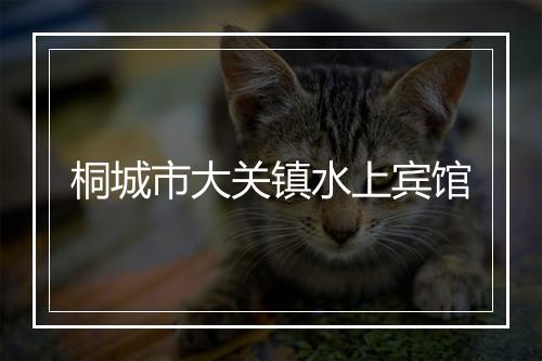 桐城市大关镇水上宾馆