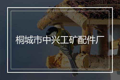 桐城市中兴工矿配件厂
