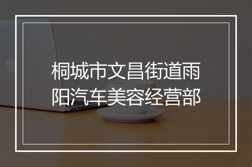 桐城市文昌街道雨阳汽车美容经营部