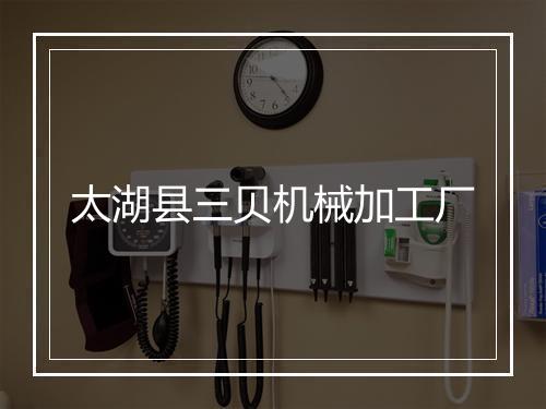 太湖县三贝机械加工厂