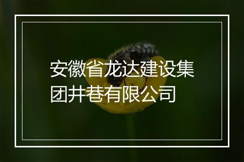 安徽省龙达建设集团井巷有限公司