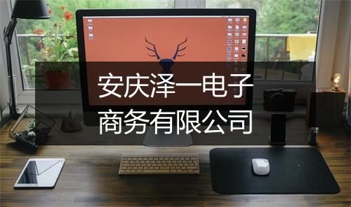 安庆泽一电子商务有限公司