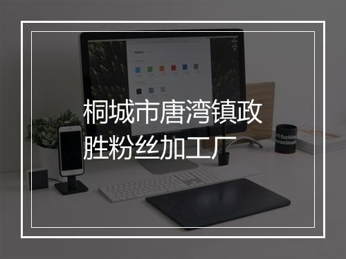桐城市唐湾镇政胜粉丝加工厂