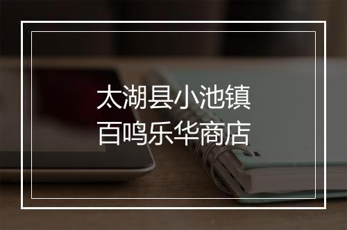 太湖县小池镇百鸣乐华商店