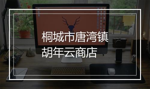 桐城市唐湾镇胡年云商店
