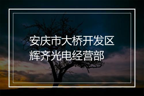 安庆市大桥开发区辉齐光电经营部