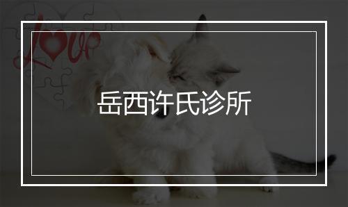 岳西许氏诊所