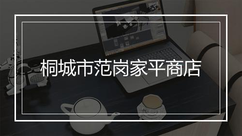 桐城市范岗家平商店