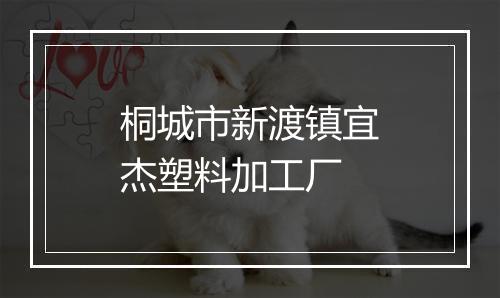 桐城市新渡镇宜杰塑料加工厂