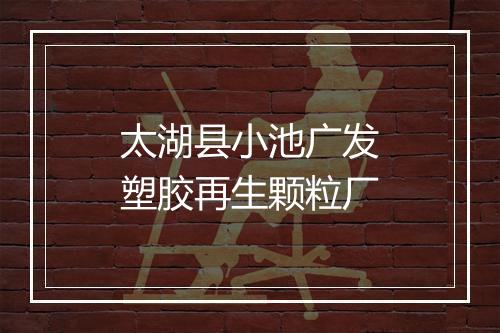 太湖县小池广发塑胶再生颗粒厂