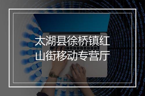 太湖县徐桥镇红山街移动专营厅