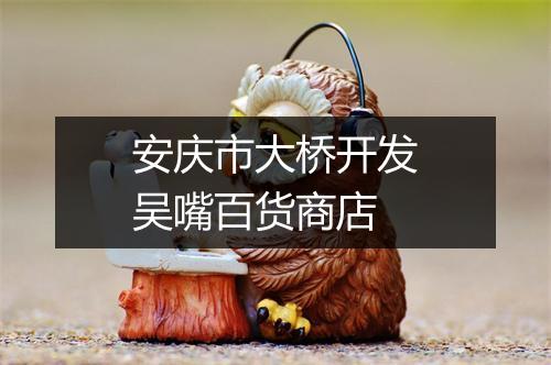 安庆市大桥开发吴嘴百货商店