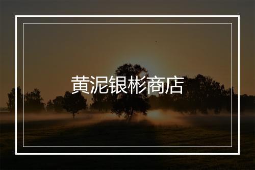 黄泥银彬商店