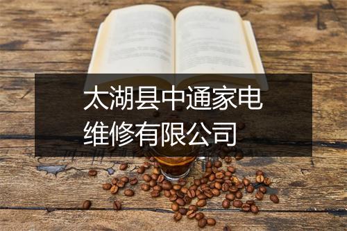 太湖县中通家电维修有限公司