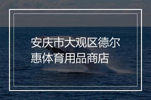 安庆市大观区德尔惠体育用品商店