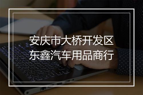 安庆市大桥开发区东鑫汽车用品商行