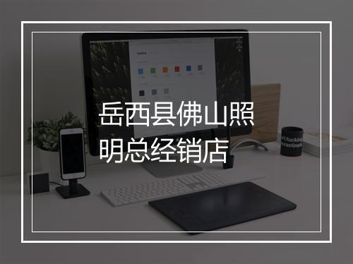 岳西县佛山照明总经销店